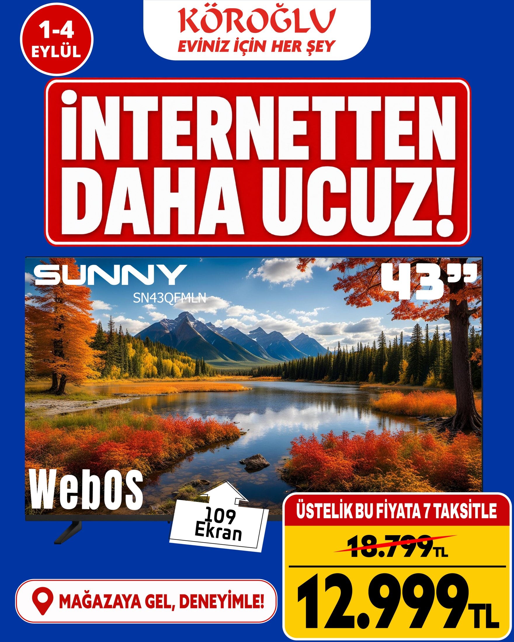 Sunny 43 İnç WebOS TV