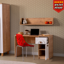 Bolonya Çalışma Masası