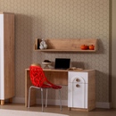 Bolonya Çalışma Masası