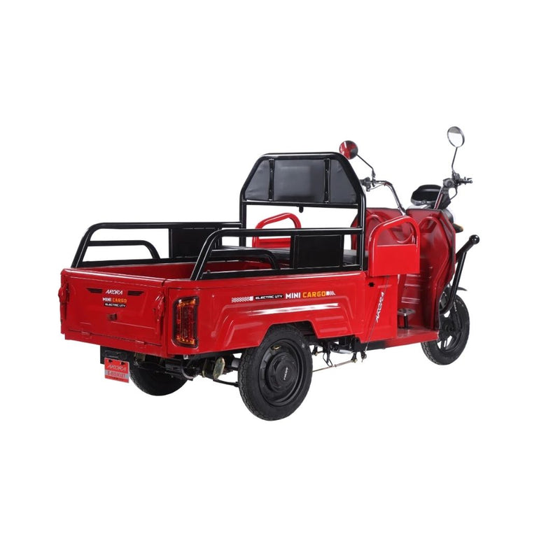 ARORA Mini Cargo 72V20AH