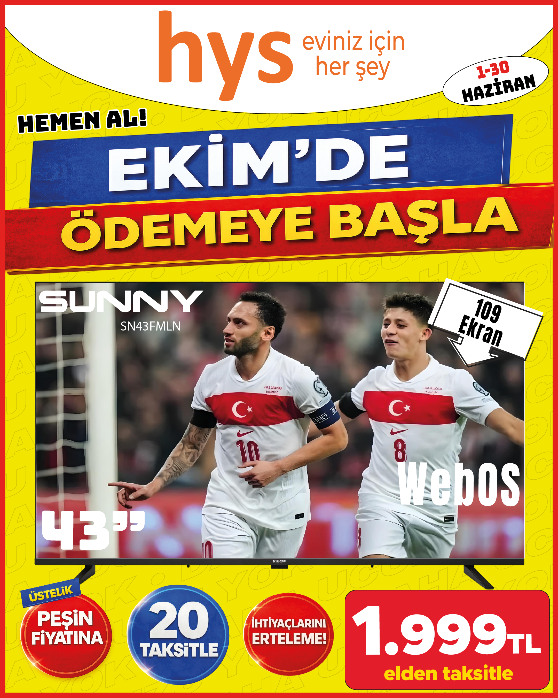 Sunny SN43FMLN 43 İnç webOS TV