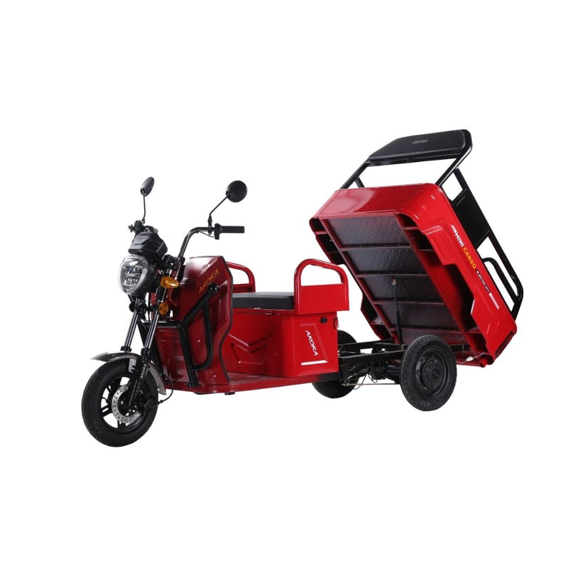 ARORA Mini Cargo 72V20AH
