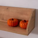 Bolonya Çalışma Masası