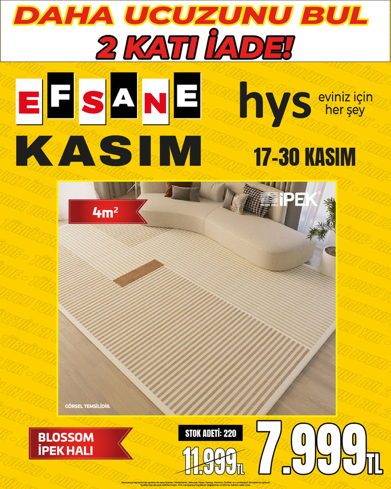 BLOSSOM İPEK HALI Lüks Modern Geometrik Desenli Halı (4 m²)