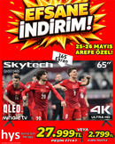 Skytech 65 İnç QLED TV