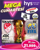 Skytech Q55ST3405 55 İnç Whale Tv