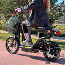 Volta VSM Elektrikli Motorlu Bisiklet